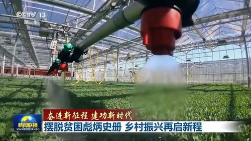 聯(lián)播丨擺脫貧困彪炳史冊(cè) 鄉(xiāng)村振興再啟新程 農(nóng)副產(chǎn)品