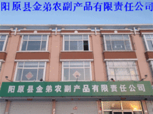 進(jìn)出口代理助力發(fā)展 陽原縣金弟農(nóng)副產(chǎn)品有限責(zé)任公司的農(nóng)副產(chǎn)品全球化之路